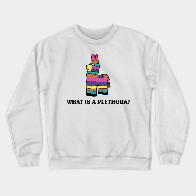 What is a Plethora Crewneck Sweatshirt by Braden4C